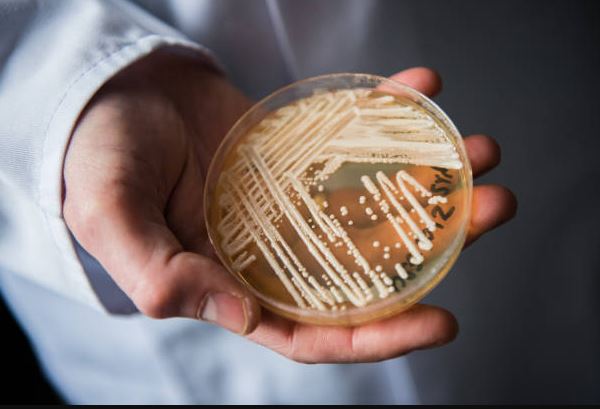 Seattle-on-high-alert-as-rare-drug-resistant-fungal-infection-spreads