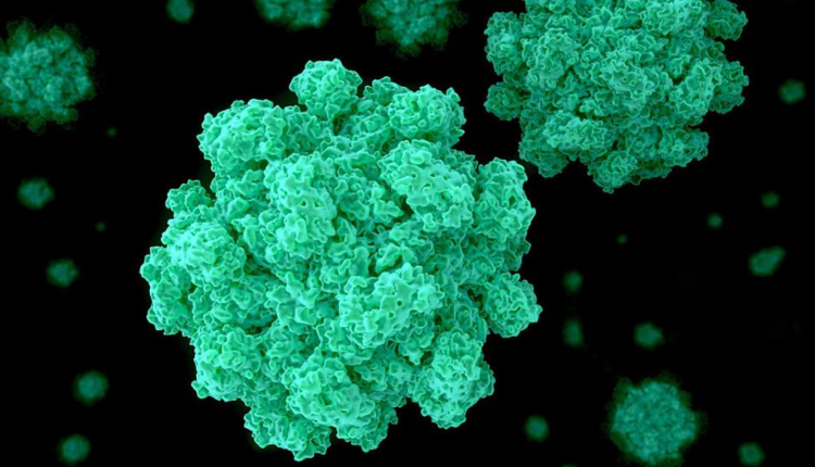 Unveiling The Norovirus Surge Urgent Concerns For New York   Cybersecdn 2024 02 27T101350.239 750x430 